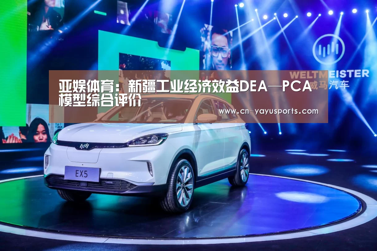 亚娱体育:新疆工业经济效益DEA—PCA模型综合评价(图3) 亚娱体育