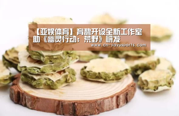 【亚娱体育】育碧开设全新工作室 助《幽灵行动:荒野》研发(图2) 亚娱体育官方网站